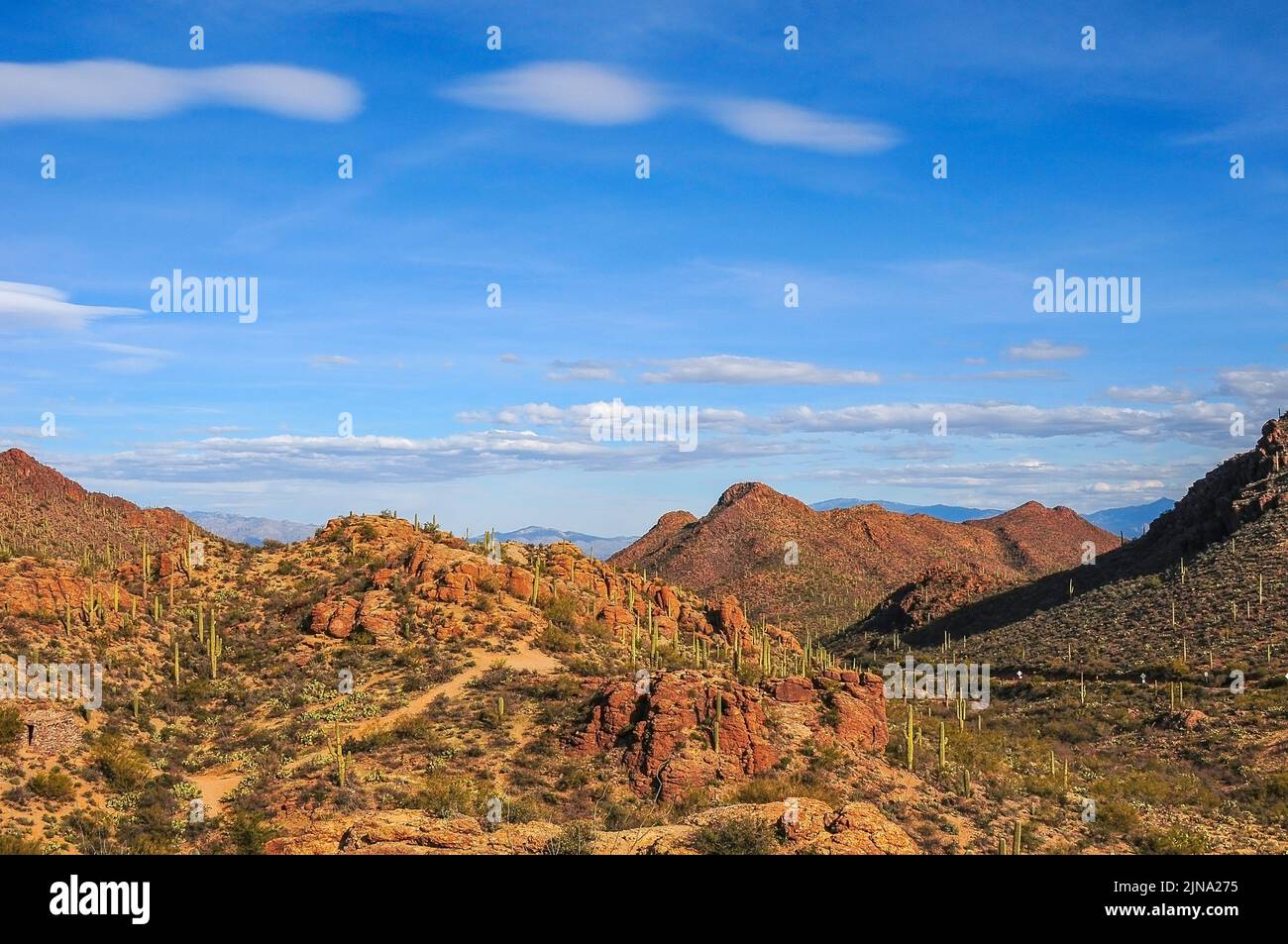 Landschaft Im Süden Arizonas Stockfoto