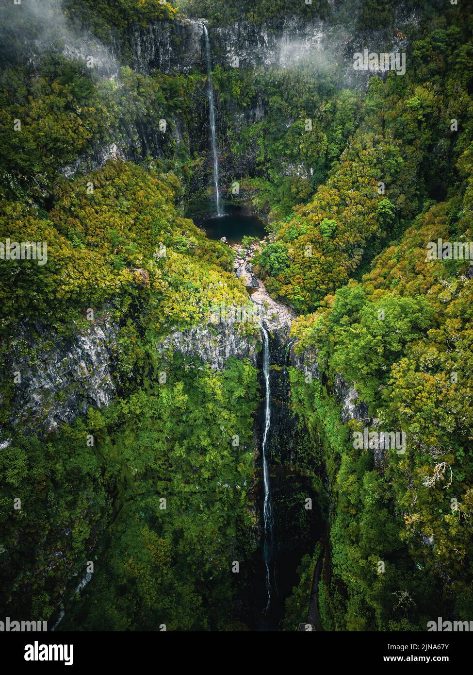Luftaufnahme des Risco-Wasserfalls im üppigen grünen Wald, Rabacal, Paul da Serra, Madeira, Portugal Stockfoto