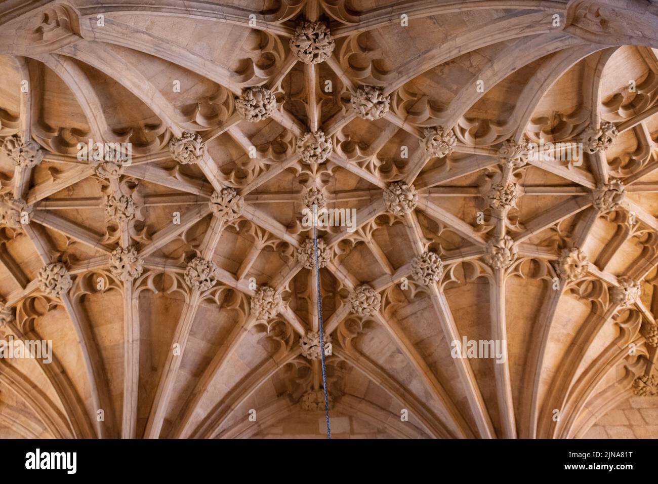 Vaulting Detail von Sherborne Abbey, Dorset Stockfoto