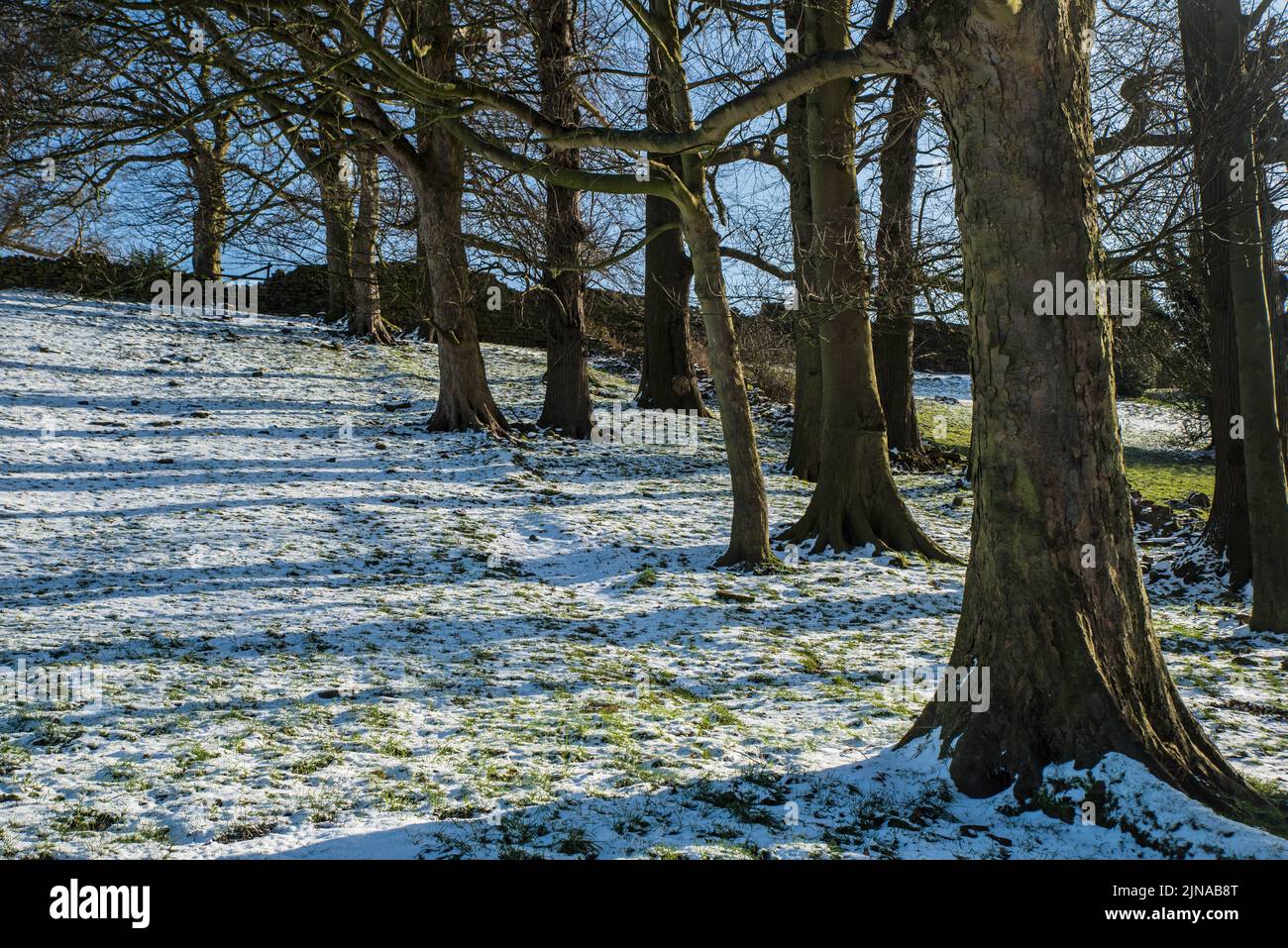 Ein leichter Schneefall bedeckt den Boden unter einer Bude mit winterlicher Sonne und erzeugt lange Schatten Stockfoto