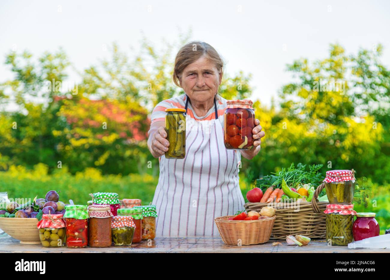 Ältere Frau, die Gemüse in Gläsern konservieren. Selektiver Fokus. Essen. Stockfoto