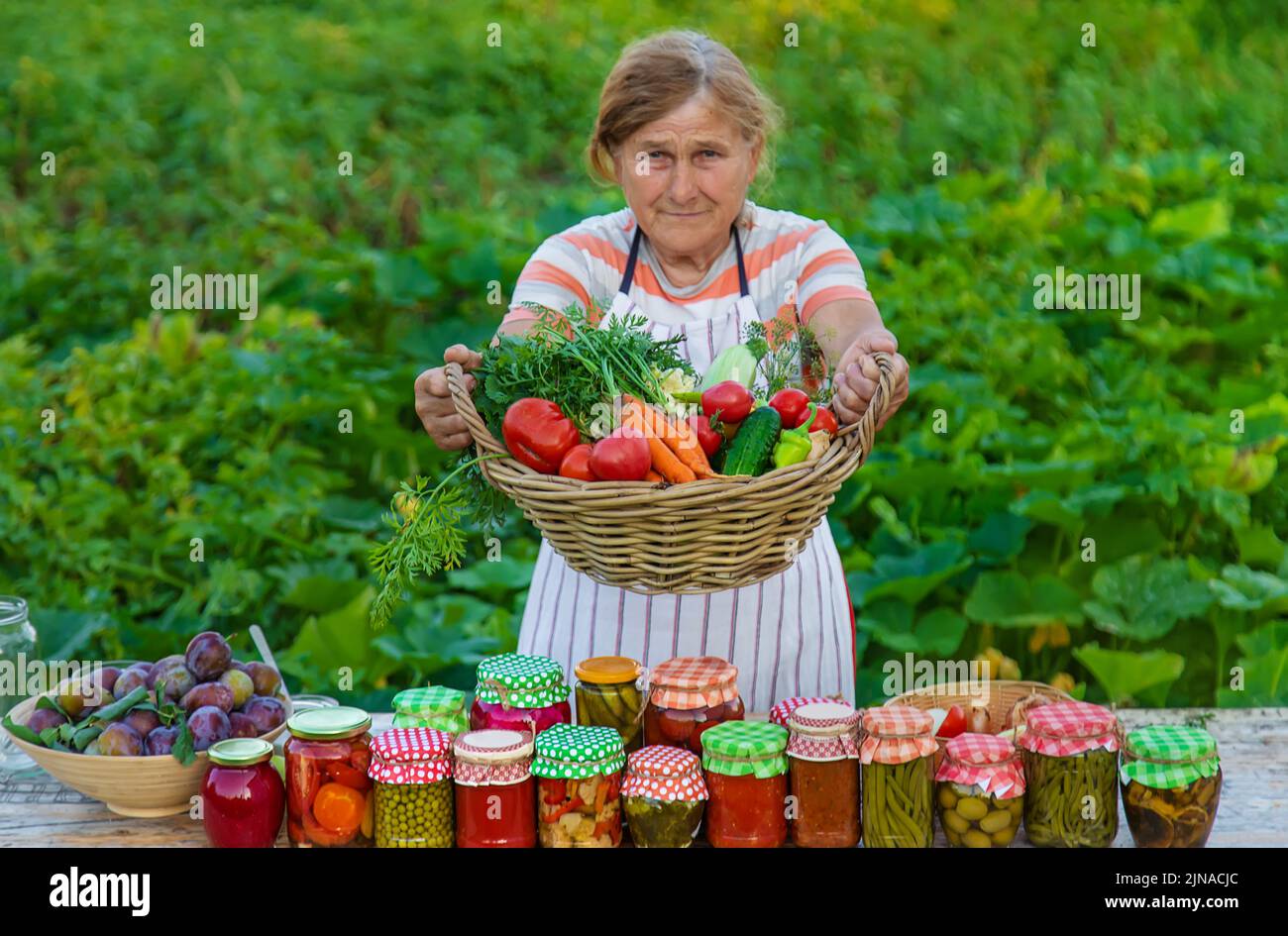 Ältere Frau, die Gemüse in Gläsern konservieren. Selektiver Fokus. Essen. Stockfoto