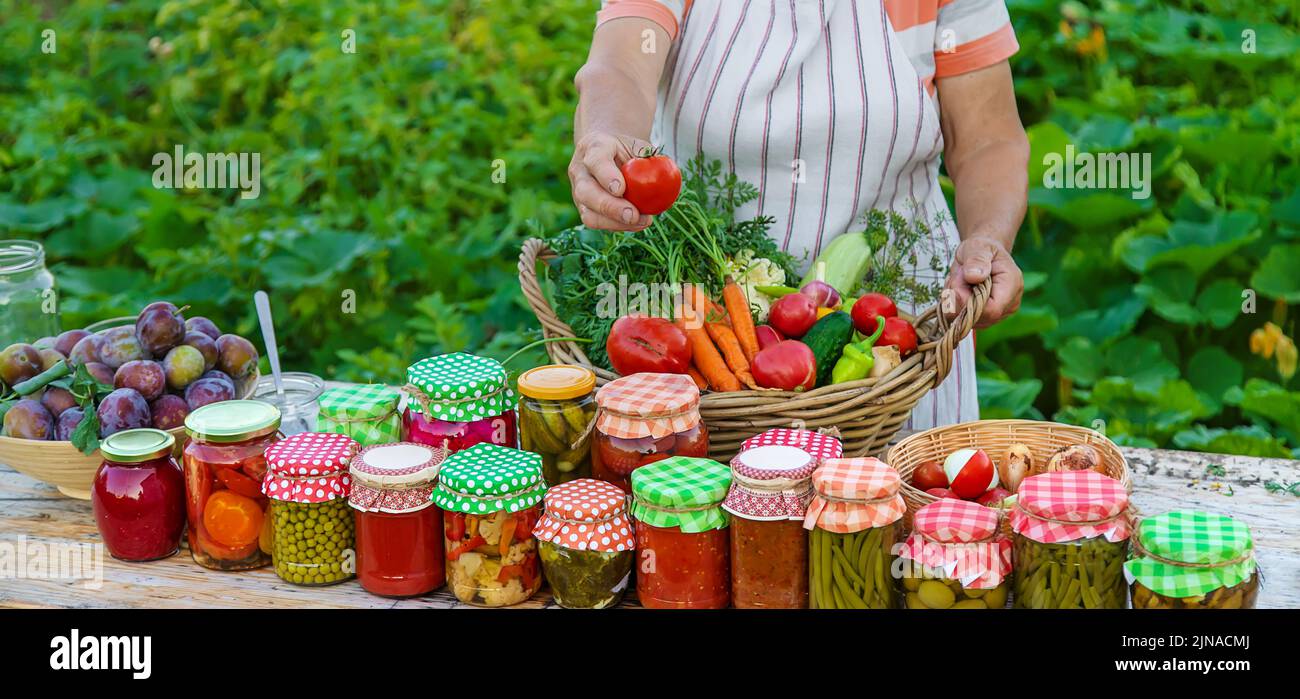 Ältere Frau, die Gemüse in Gläsern konservieren. Selektiver Fokus. Essen. Stockfoto