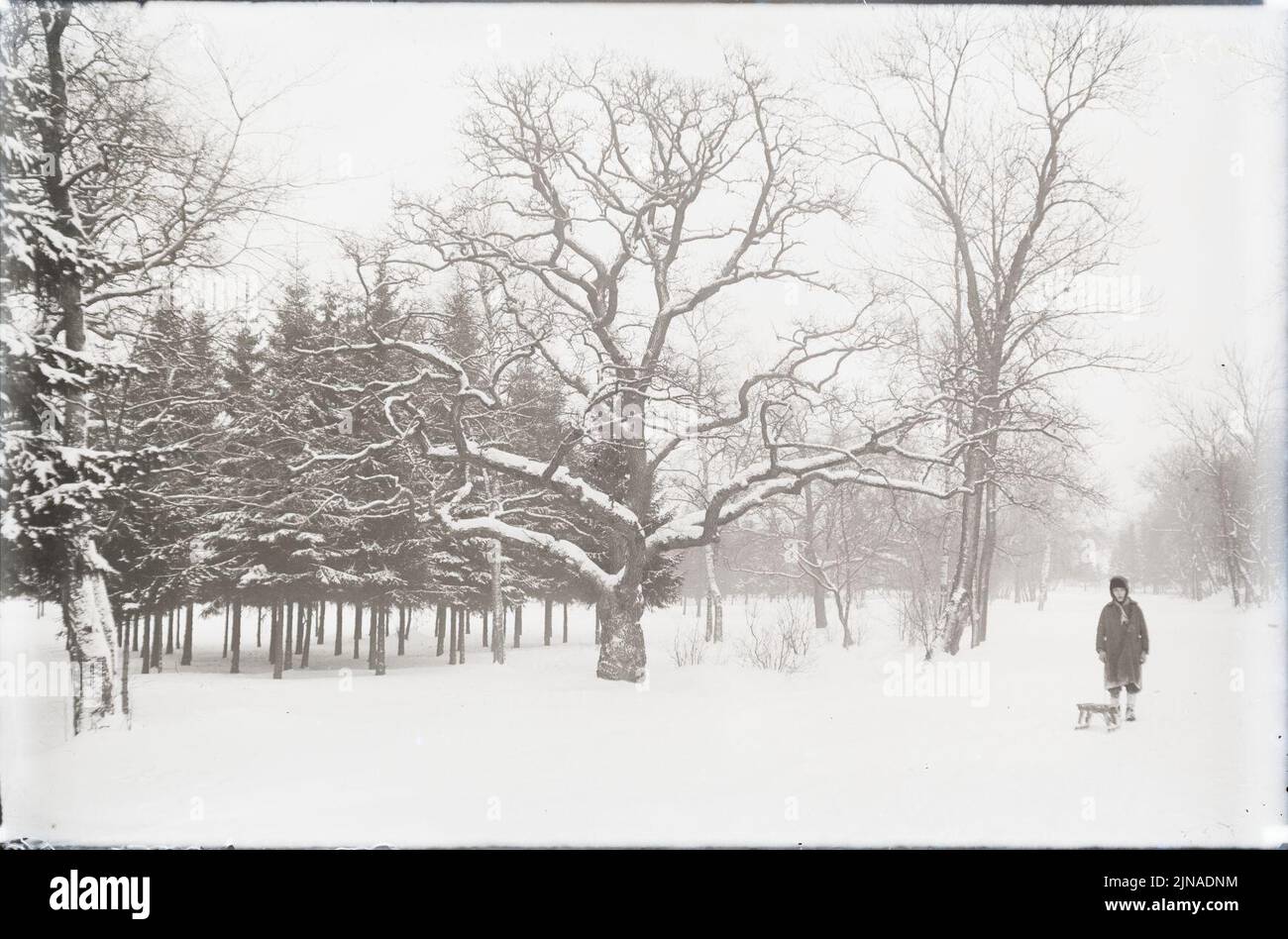 Tallinn, Kadrioru Park, AM N06087 Stockfoto