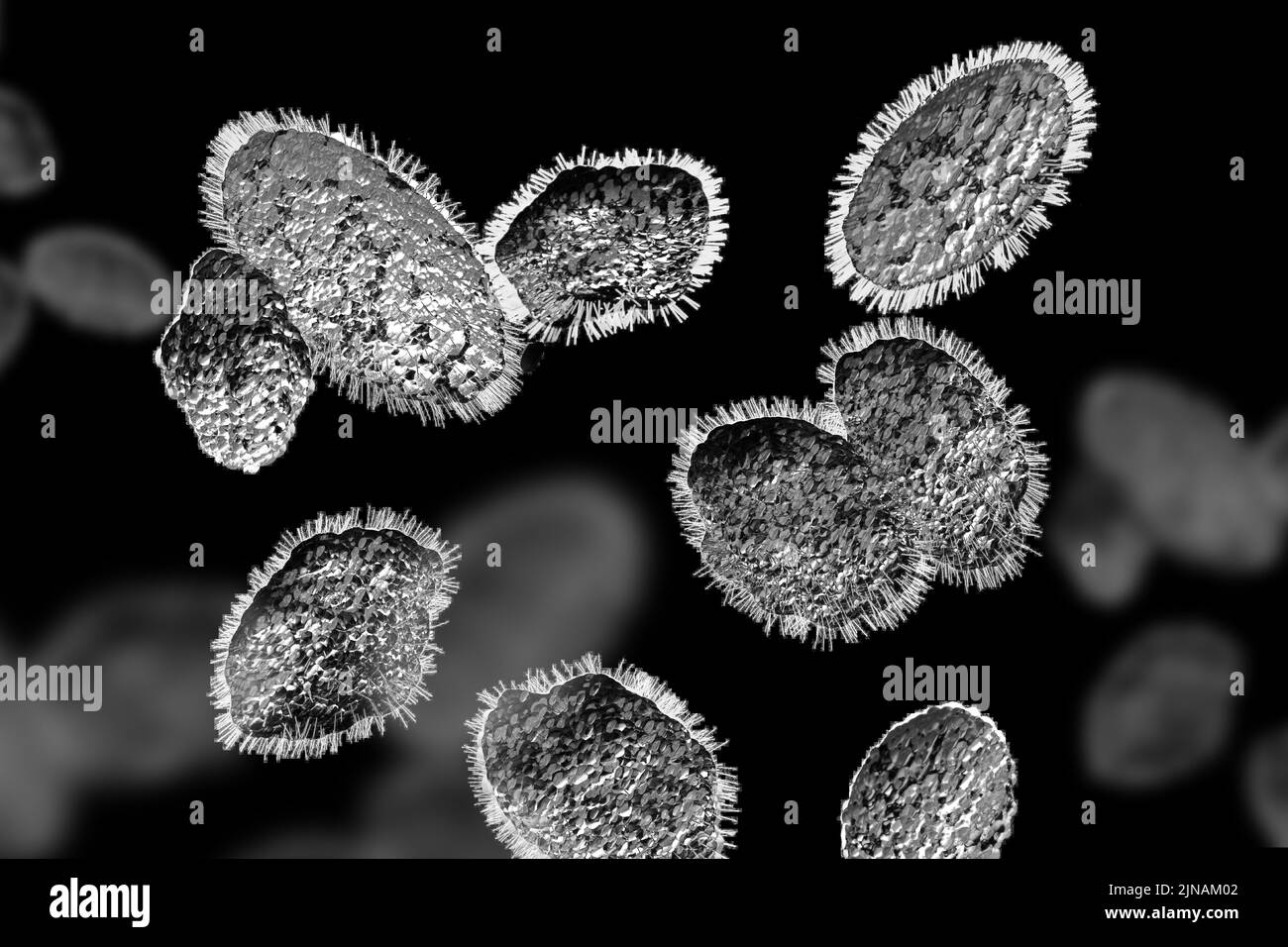 Monkeypox-Virus. Krankheitserreger Nahaufnahme Mikroskopische Ansicht. 3D Darstellung rendern. Stockfoto