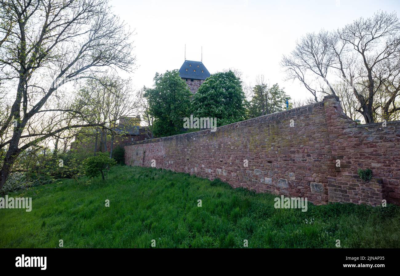 Mauer des Schlosses von Nideggen in der Eifel, Deutschland Stockfoto