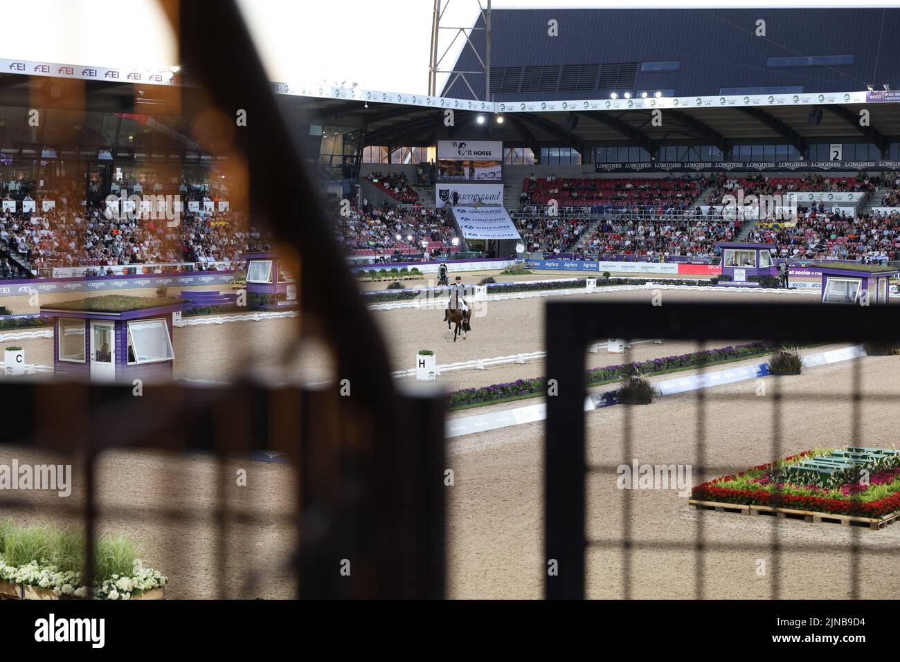 Herning, Dänemark. 10. August 2022. Pferdesport: Weltmeisterschaft, Dressur, Grand Prix Freestyle. Ein Dressurreiter reitet im Stutteri Ask Stadion, beobachtet durch einen Gitterzaun. Das Stadion wird in der Regel vom dänischen Fußballverein FC Midtjylland genutzt. Quelle: Friso Gentsch/dpa/Alamy Live News Stockfoto