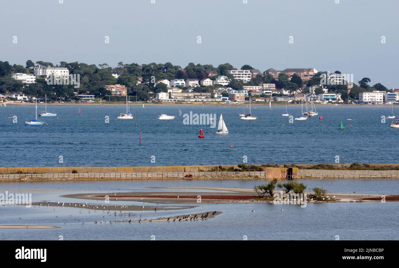 POOLE HAFEN VON BROWNSEA ISLAND, POOLE DORSET PIC MIKE WALKER,2010 Stockfoto