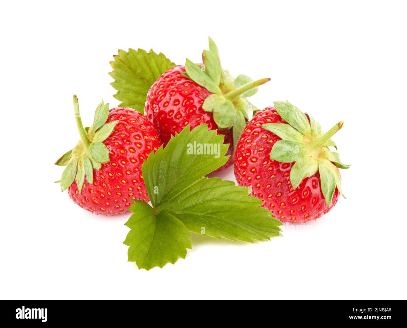 Haufen frischer roter Erdbeeren isoliert auf weißem Hintergrund Stockfoto