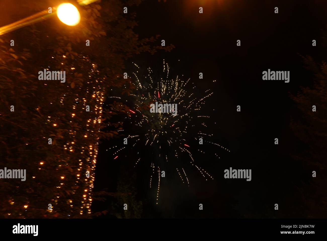 Blumen und Feuerwerk Stockfoto