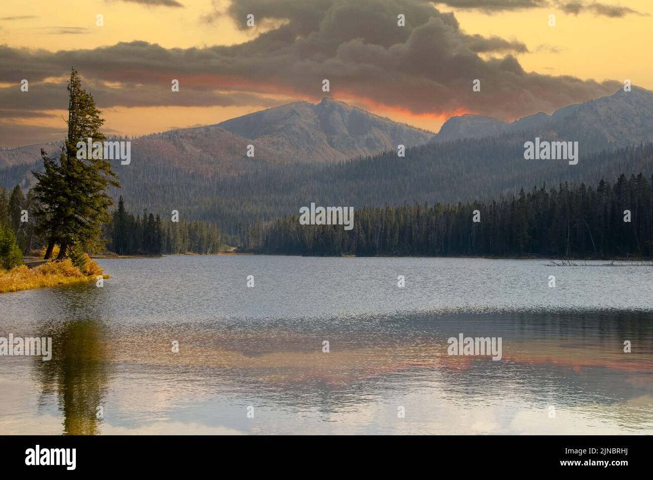 Über dem Sylvan Lake im Yellowstone National Park, Wyoming, entsteht ein Sturm. Tiere haben in den Bäumen Zuflucht gefunden. Eine Brise kitzelt die Oberfläche des Sees. Stockfoto