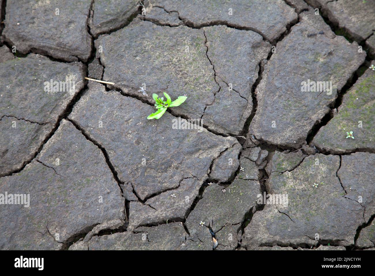 Trockene Bedingungen an den Stauseen Ladybower und Derwent, Sommer 2022 im Peak District Stockfoto