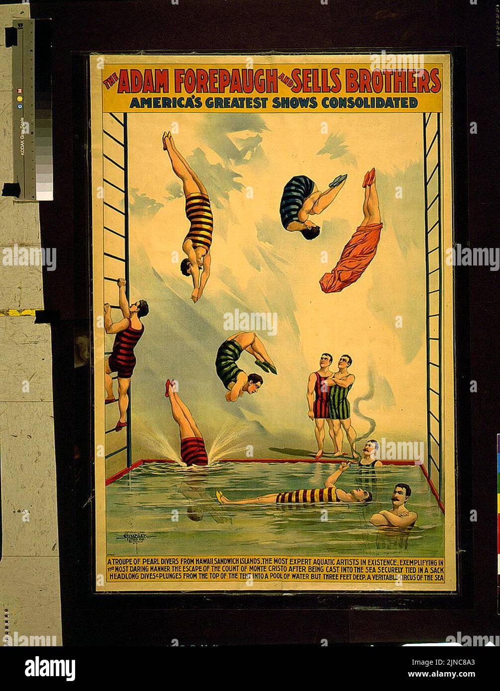 The Adam Forepaugh and Sells Brothers America's greatest Shows konsolidiert-Eine Truppe von Perlentauchern aus Hawaii, Sandwich Islands ... Ein wahrer Zirkus des Meeres Stockfoto