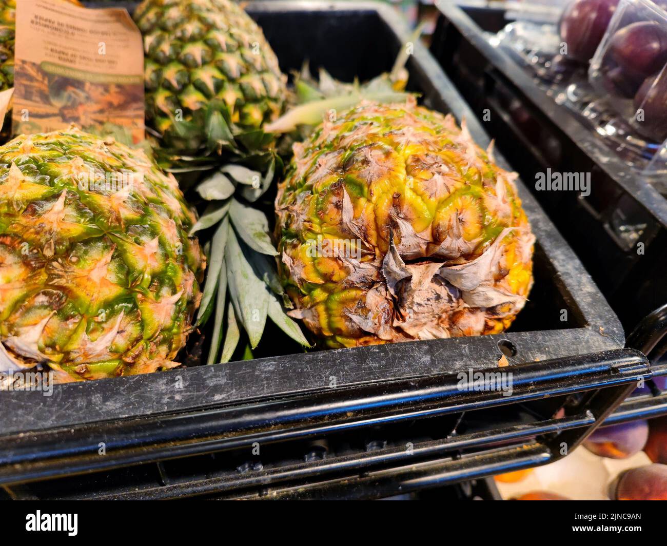 Schöne frische Ananas werden in einem Supermarktregal in einem Supermarkt verkauft Stockfoto