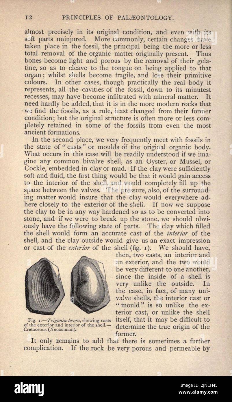 Die alte Lebensgeschichte der Erde (Seite 12) Stockfoto