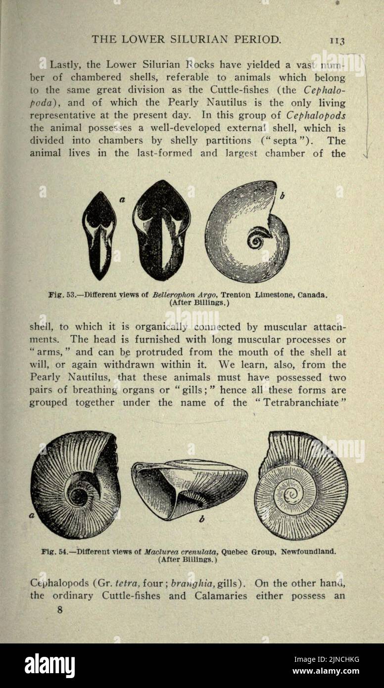 Die alte Lebensgeschichte der Erde (Seite 113) Stockfoto