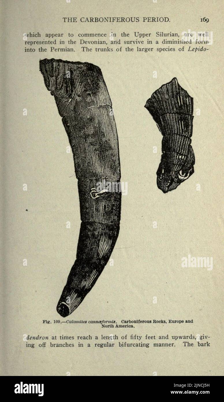 Die alte Lebensgeschichte der Erde (Seite 169) Stockfoto