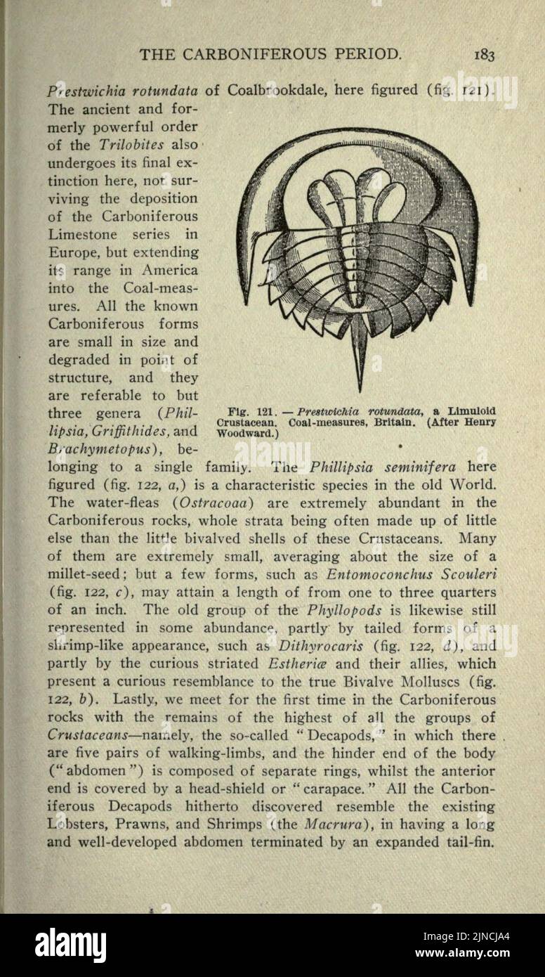Die alte Lebensgeschichte der Erde (Seite 183) Stockfoto