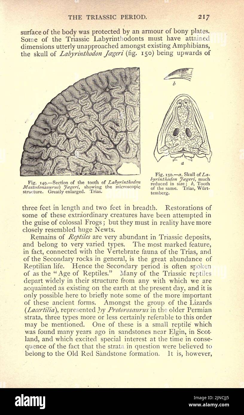 Die alte Lebensgeschichte der Erde (Seite 217) Stockfoto