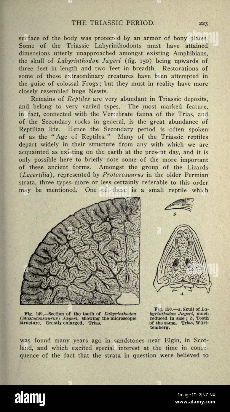 Die alte Lebensgeschichte der Erde (Seite 223) Stockfoto