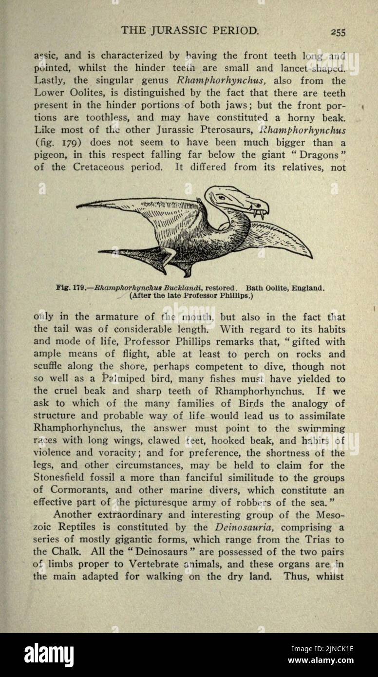 Die alte Lebensgeschichte der Erde (Seite 255) Stockfoto