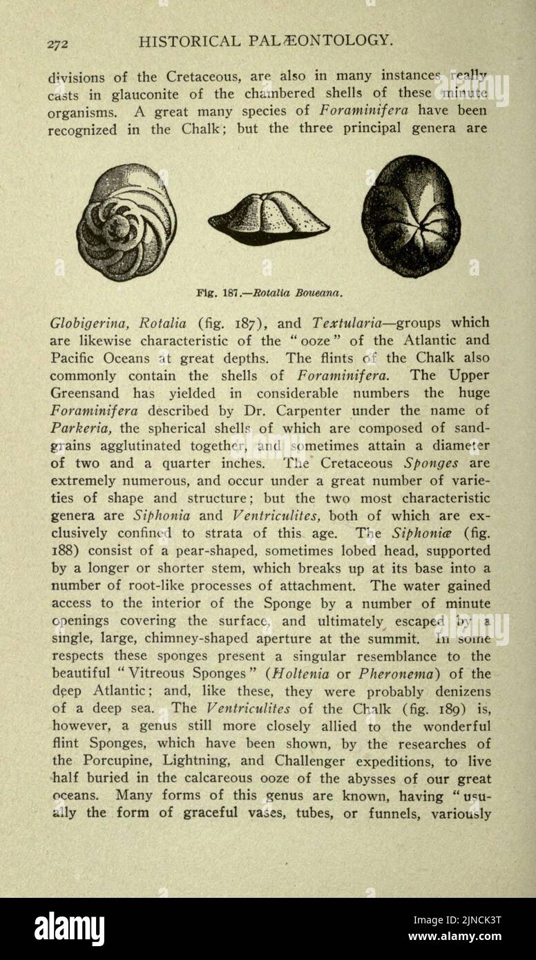 Die alte Lebensgeschichte der Erde (Seite 272) Stockfoto