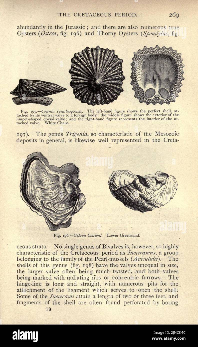 Die alte Lebensgeschichte der Erde (Seite 269) Stockfoto