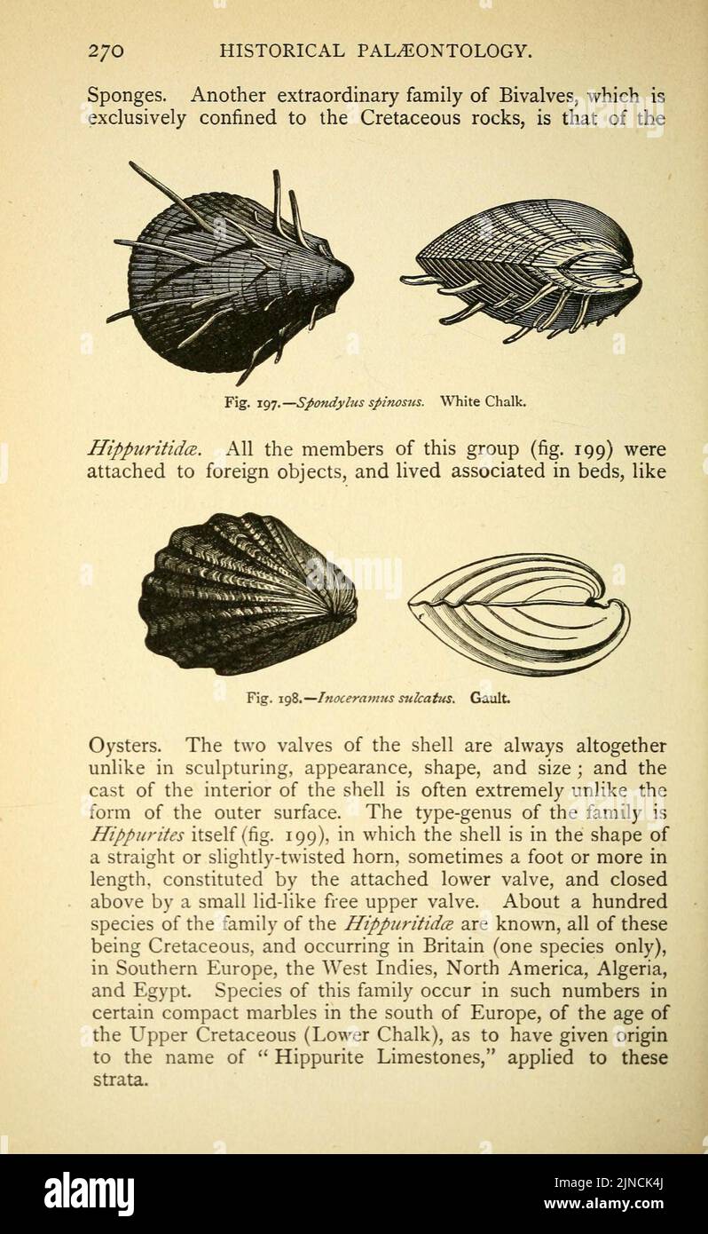 Die alte Lebensgeschichte der Erde (Seite 270) Stockfoto
