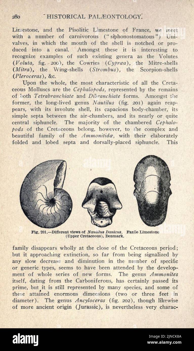 Die alte Lebensgeschichte der Erde (Seite 280) Stockfoto