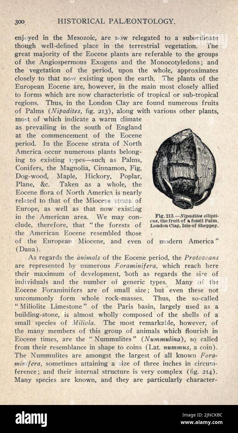 Die alte Lebensgeschichte der Erde (Seite 300) Stockfoto