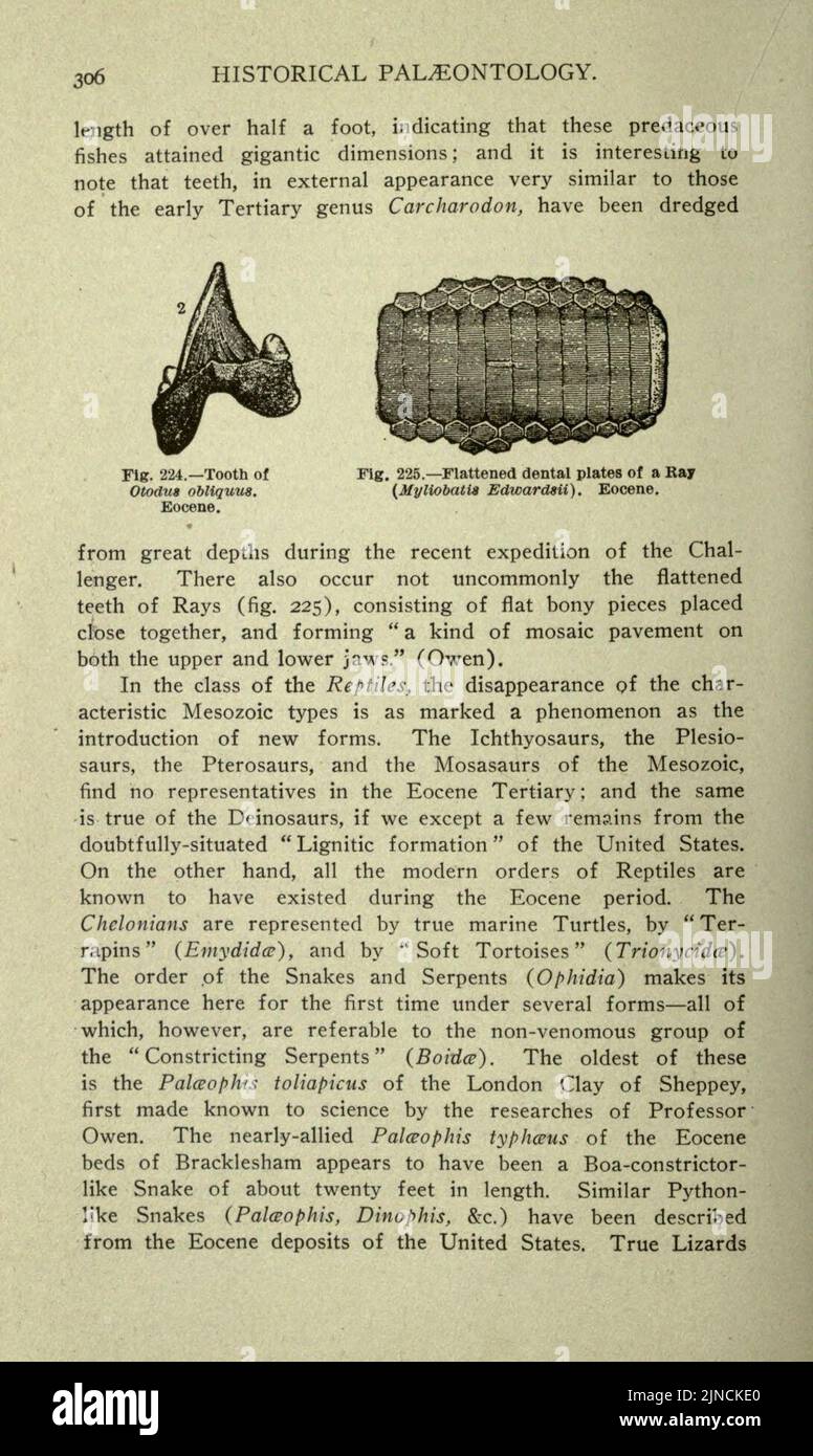 Die alte Lebensgeschichte der Erde (Seite 306) Stockfoto