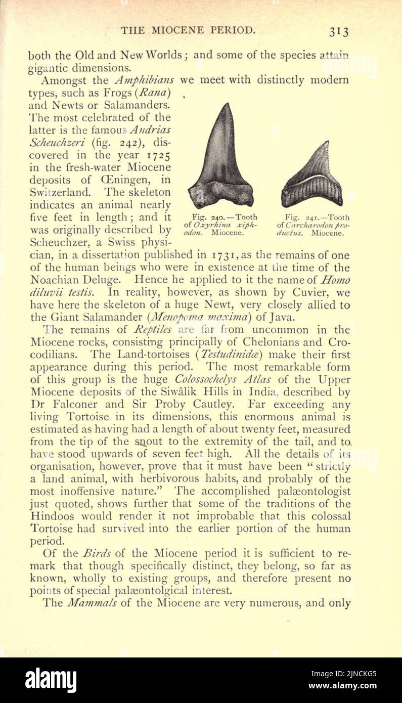 Die alte Lebensgeschichte der Erde (Seite 313) Stockfoto