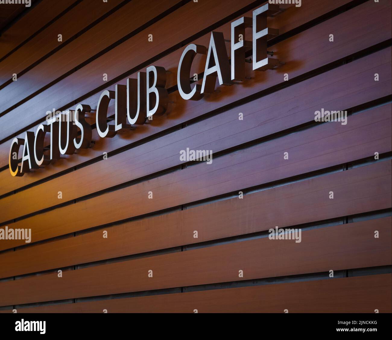 Schild des Cactus Club Cafe auf Holzwand. Canadian Division of Business das Cactus Club Restaurant ist eine kanadische Kette von erstklassigen Casual Restaurants Stockfoto