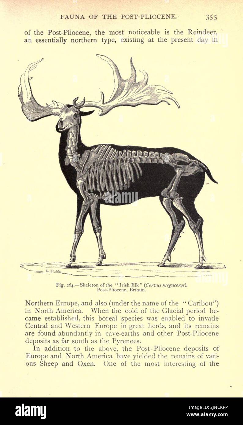 Die alte Lebensgeschichte der Erde (Seite 355) Stockfoto