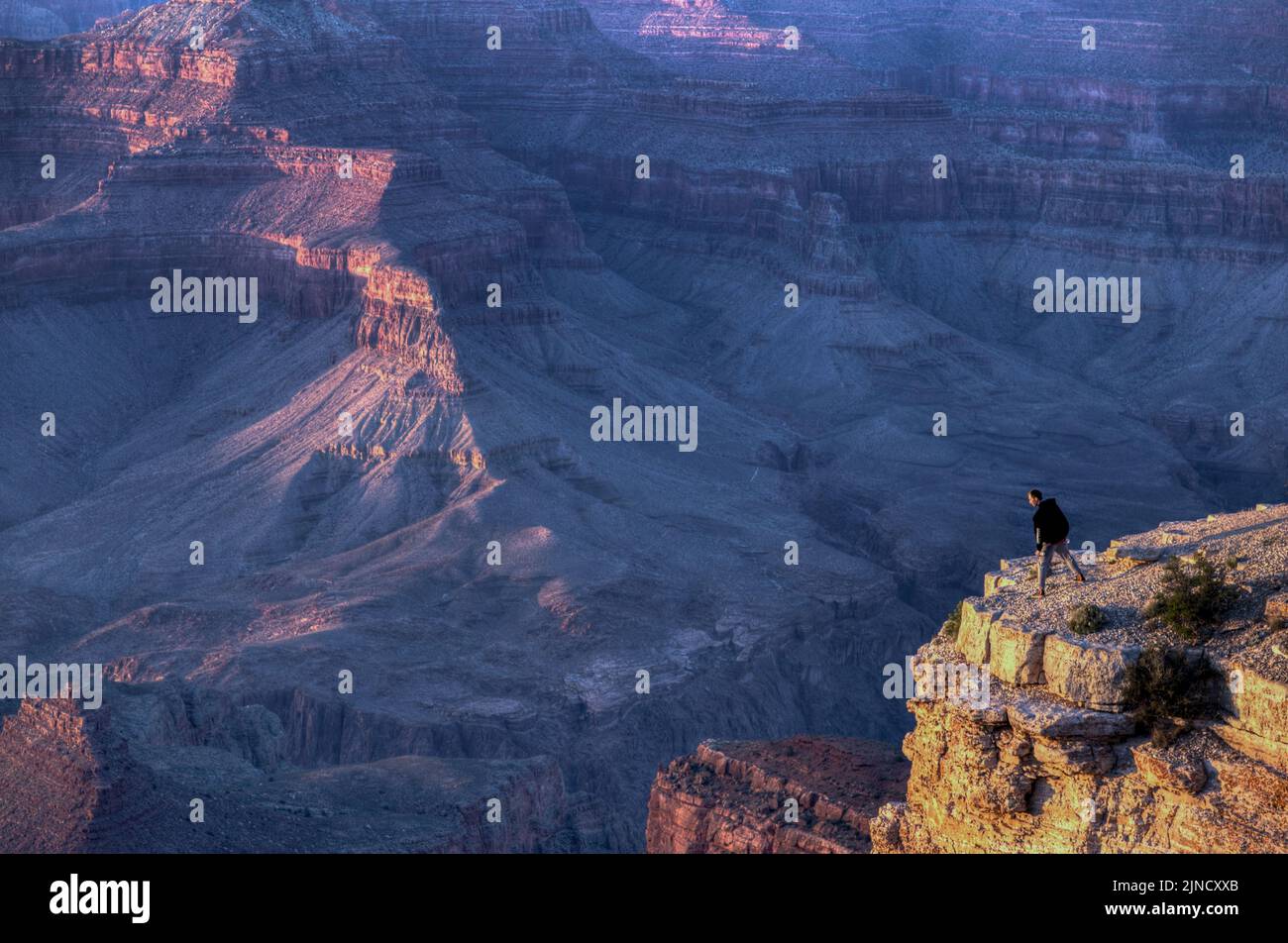 Wanderer blickt auf den Abgrund des Grand Canyon Stockfoto