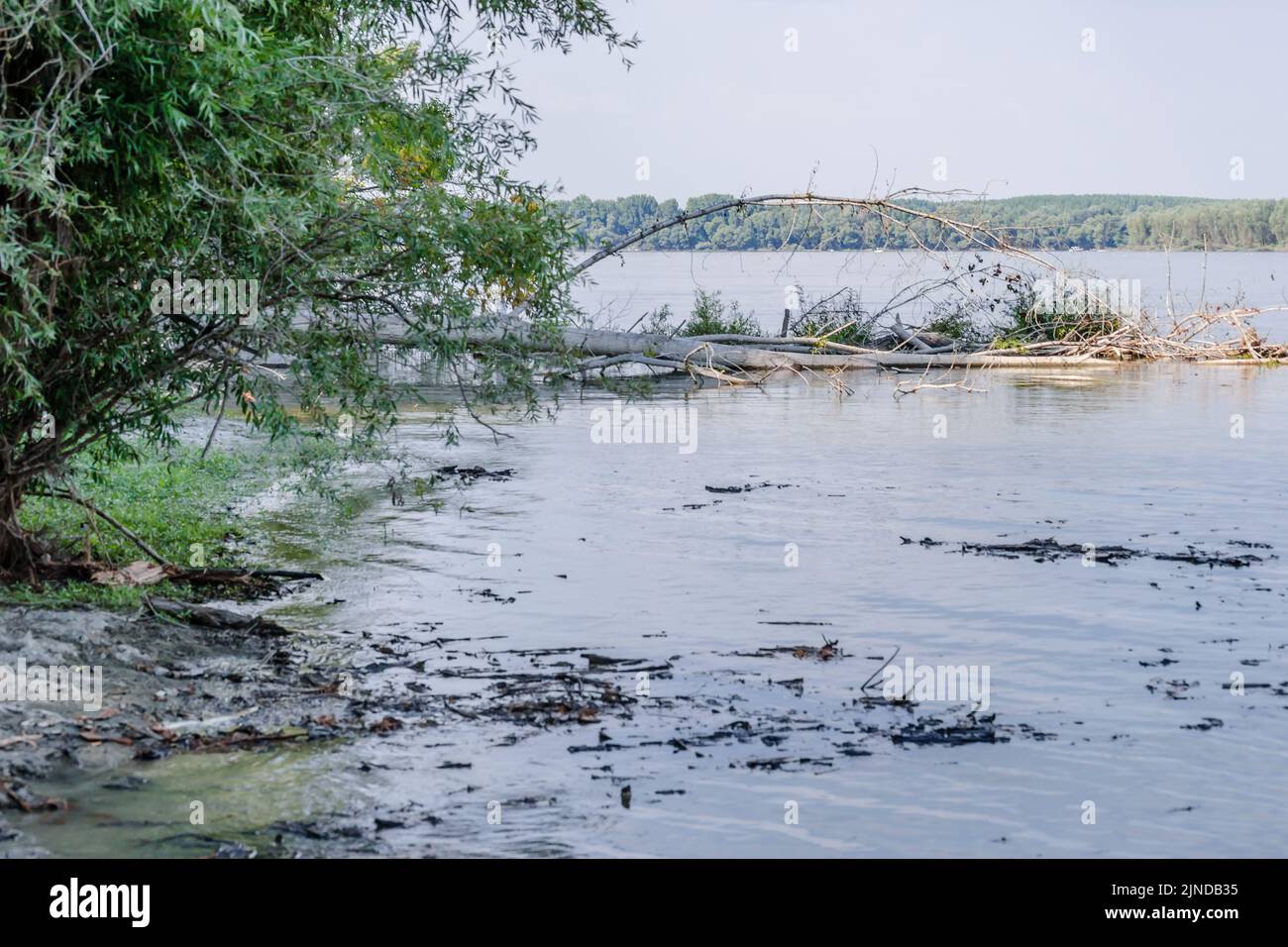 Ein Panoramablick auf das Ufer der Donau. Ein Panoramablick auf das Ufer der Donau bei schönem sonnigen Wetter. Stockfoto