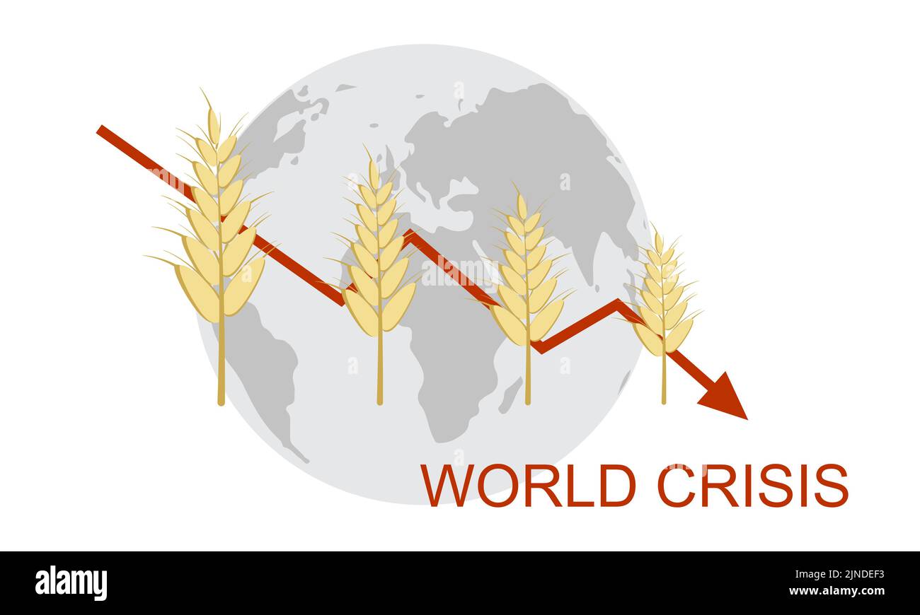 Nahrungsmittelkrise. Ukrainisches Getreide. Brotmangel. Russisch-ukrainischer Konflikt. Symbol für Landwirtschaft. Eine Grafik mit verringertem Ernteweizen. Agrarindustrie. Stock Vektor
