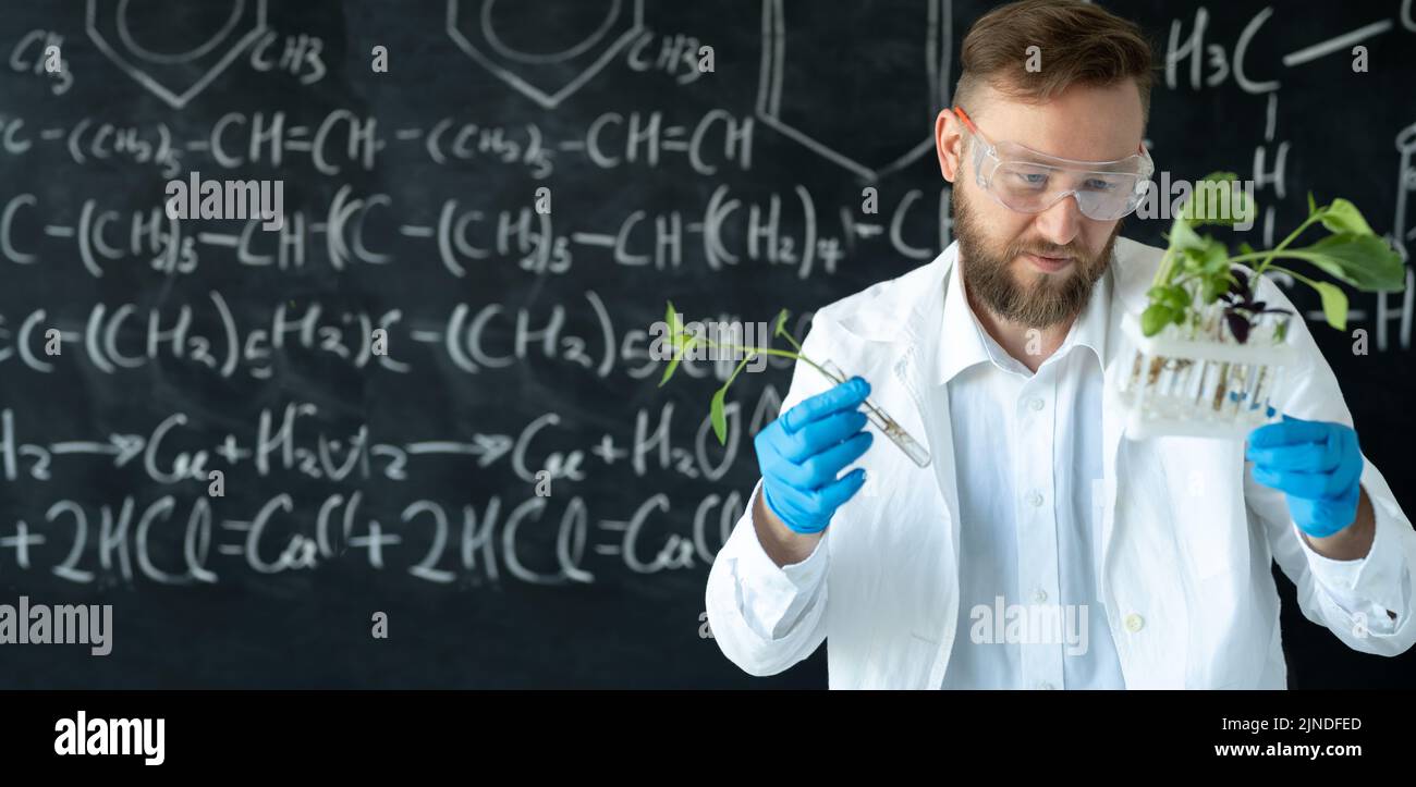 Ein Wissenschaftler in einem Chemielabor, der einen Setzling durchführt, experimentiert mit Laborwerkzeugen und einer Tafel auf dem Hintergrund, einem Banner und einem Ort für Text Stockfoto