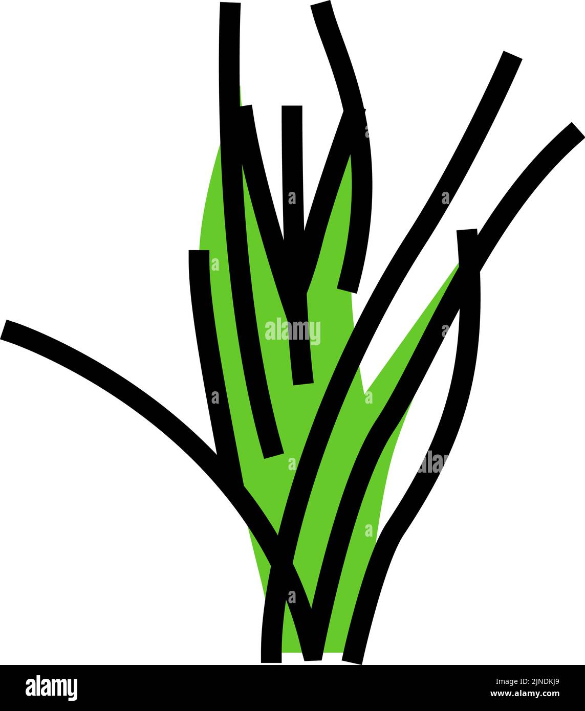 vallisneria spiralis Farbe Symbol Vektor Illustration Stock Vektor