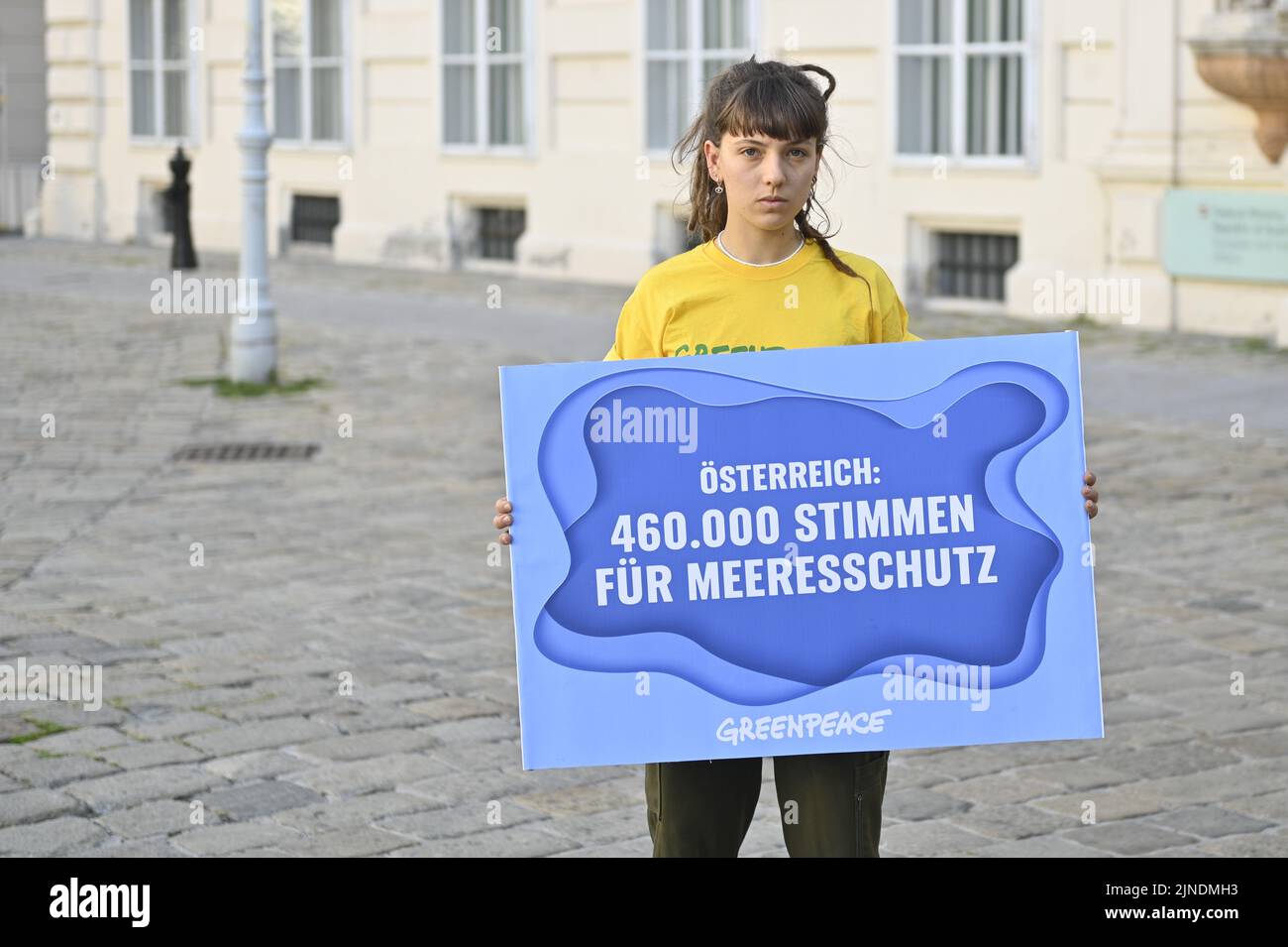 Wien, Österreich. 11.. August 2022. Greenpeace übergibt eine Petition zum Schutz der Meere an das österreichische Außenministerium, die von 463.300 Menschen in Österreich unterzeichnet wurde. Ein fünf Meter hoher Dummy-Hai wurde vor dem Außenministerium aufgehängt, um an den ernsthaften Meeresschutz zu erinnern. Tafel mit der Aufschrift „460.000 Stimmen für den Schutz der Tierwelt“ Credit: Franz PERC/Alamy Live News Stockfoto