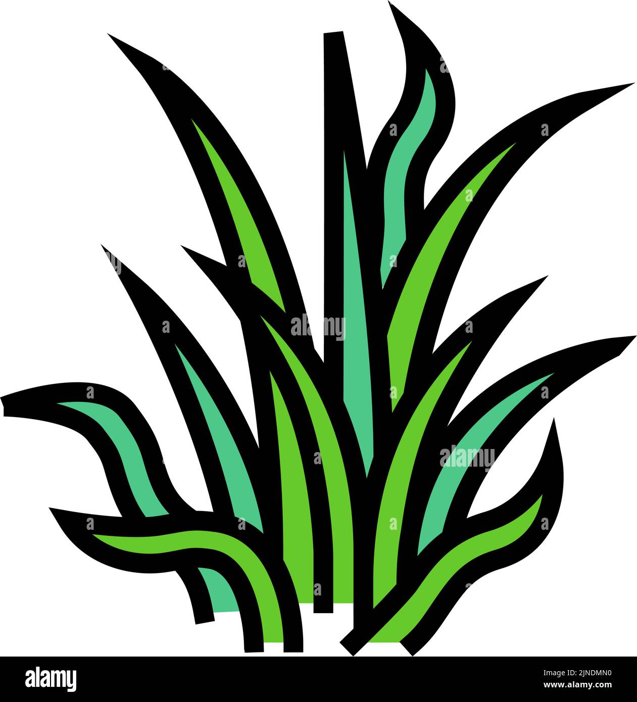 Pygmy Kette Schwert Farbe Symbol Vektorgrafik Stock Vektor