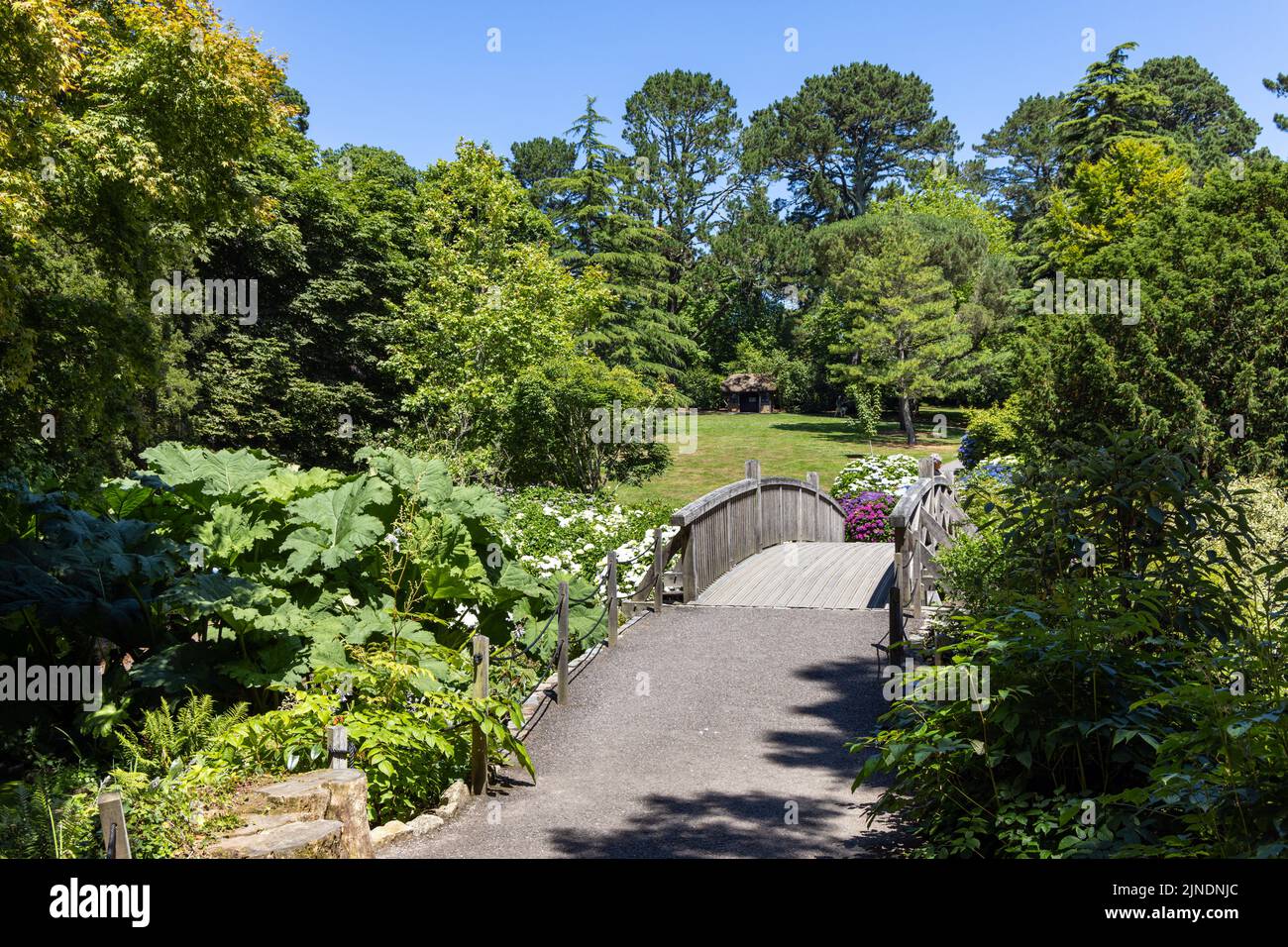 Trelissick Haus und Gärten in Cornwall Stockfoto