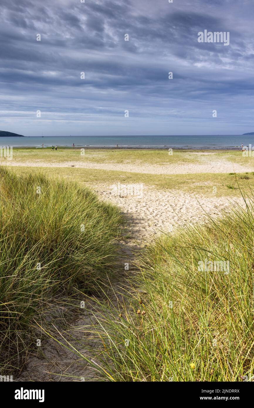 Ein Pfad durch die Sanddünen zum sandigen Par Sands Beach in Cornwall, England. Stockfoto