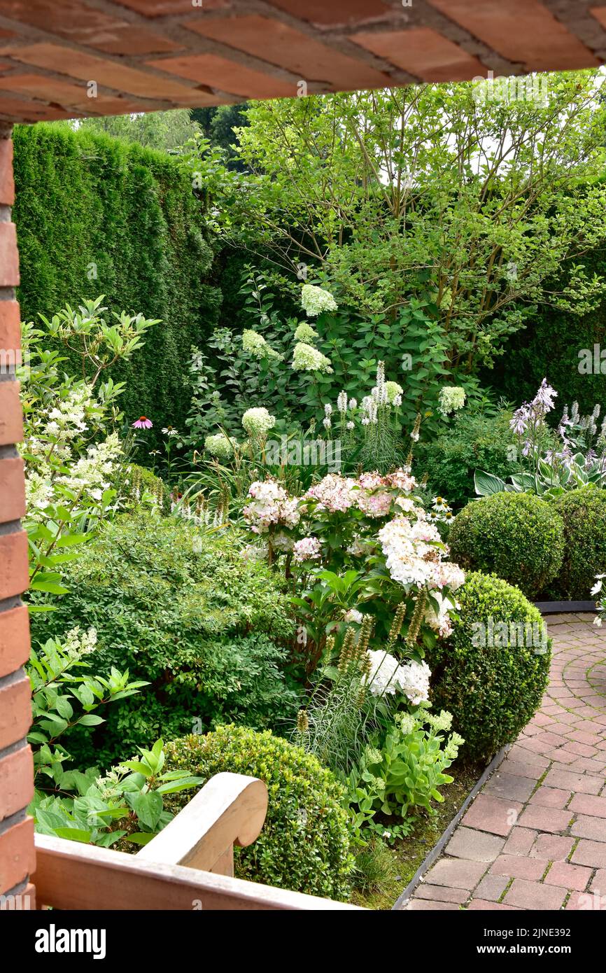 Zeigen Sie Garten im englischen Stil, Fülle von bunten Pflanzen, Bäume, Blumen, Stauden im Sommer Stockfoto