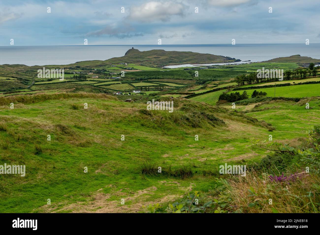 Blick In Richtung Bantry Bay, Beara Peninsula, Co. Kerry, Irland Stockfoto