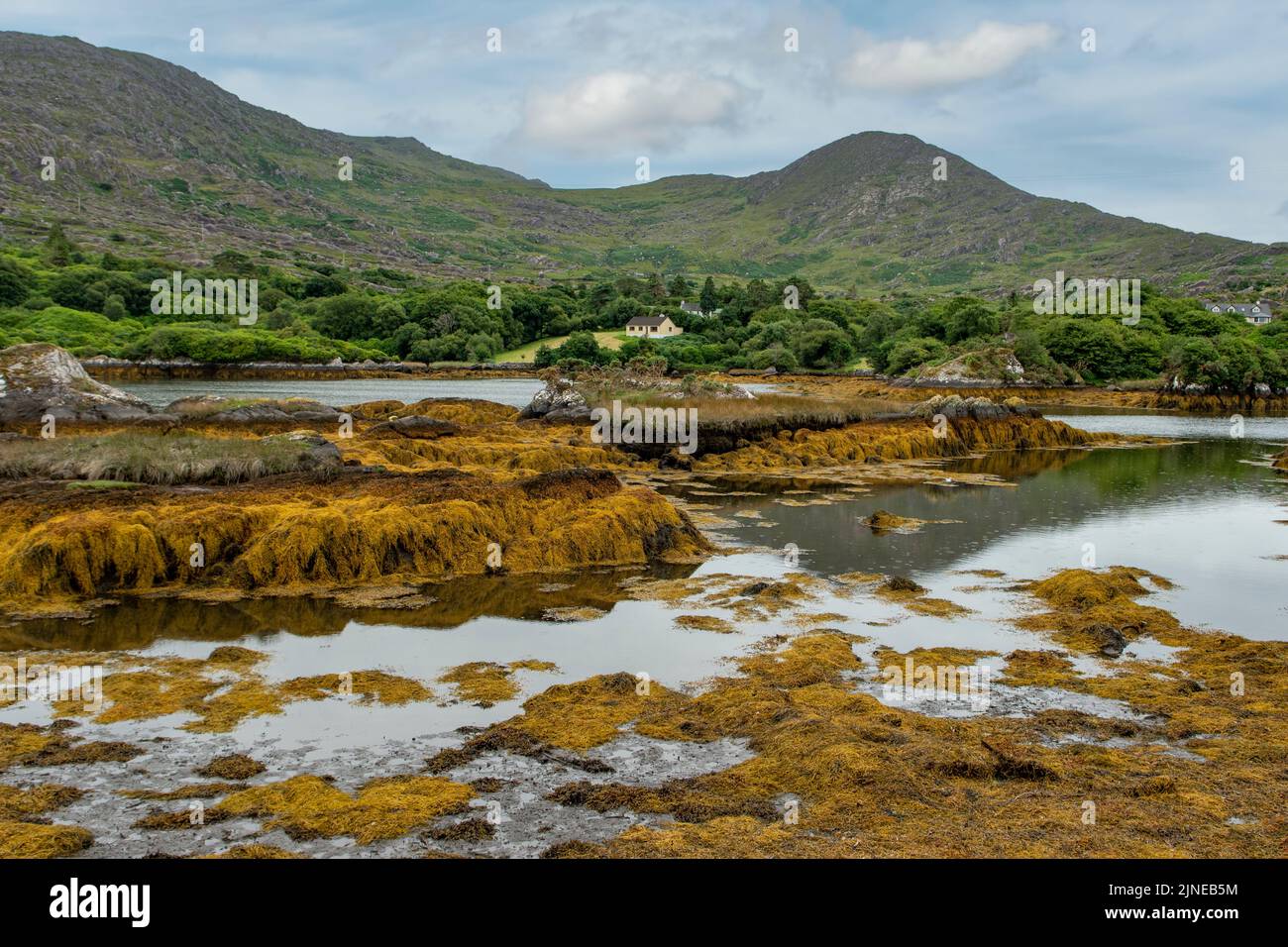 Cloonee River, Beara Peninsula, Co. Kerry, Irland Stockfoto