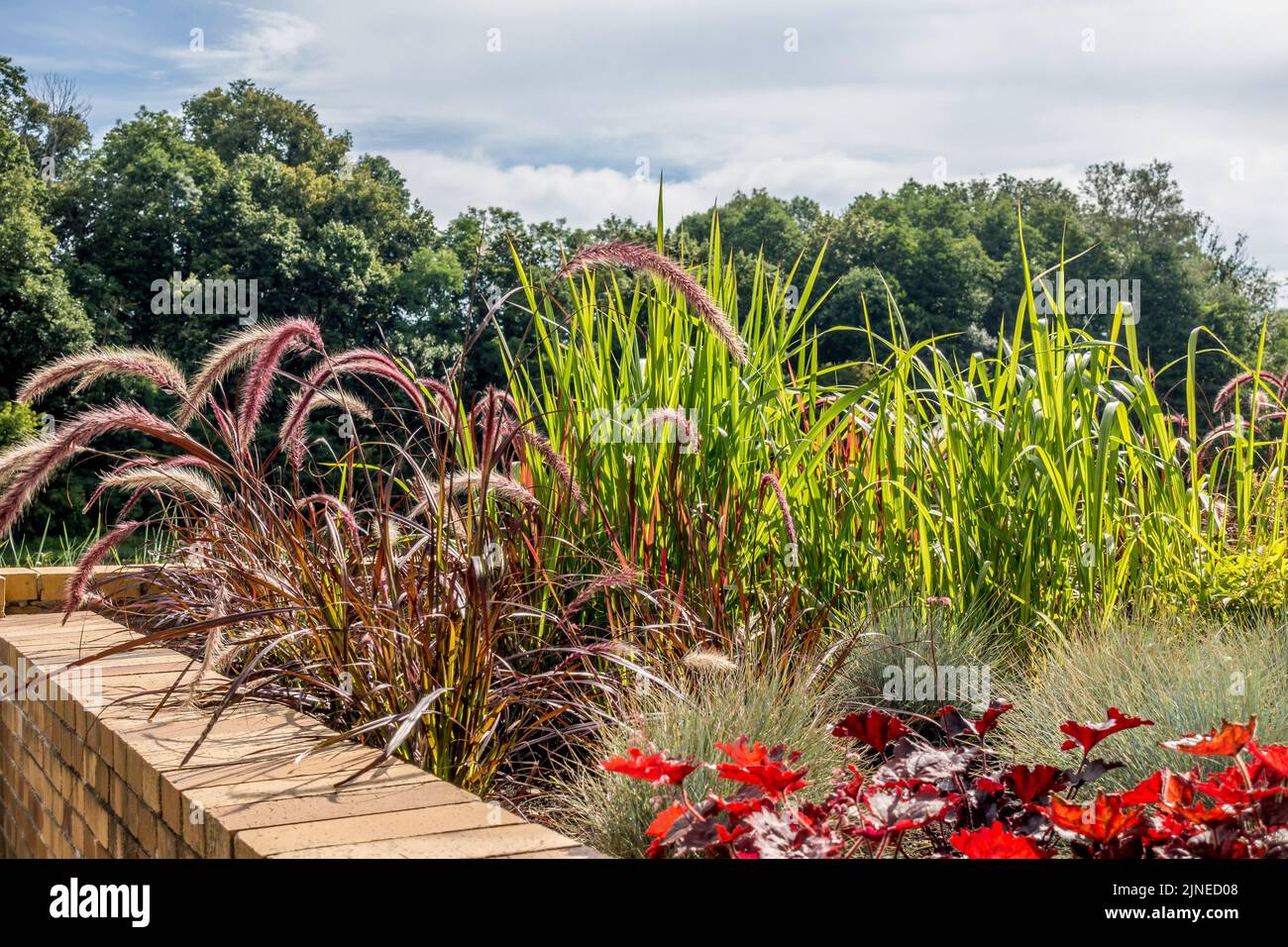 Moderne Gestaltung städtischer Gartenanlagen. Blumenbeet mit mehrjährigen Blumen mit einer gelben Backsteingrenze in der Nähe des Fußgängerweges. Stadtpark an sonnigen Tagen Stockfoto