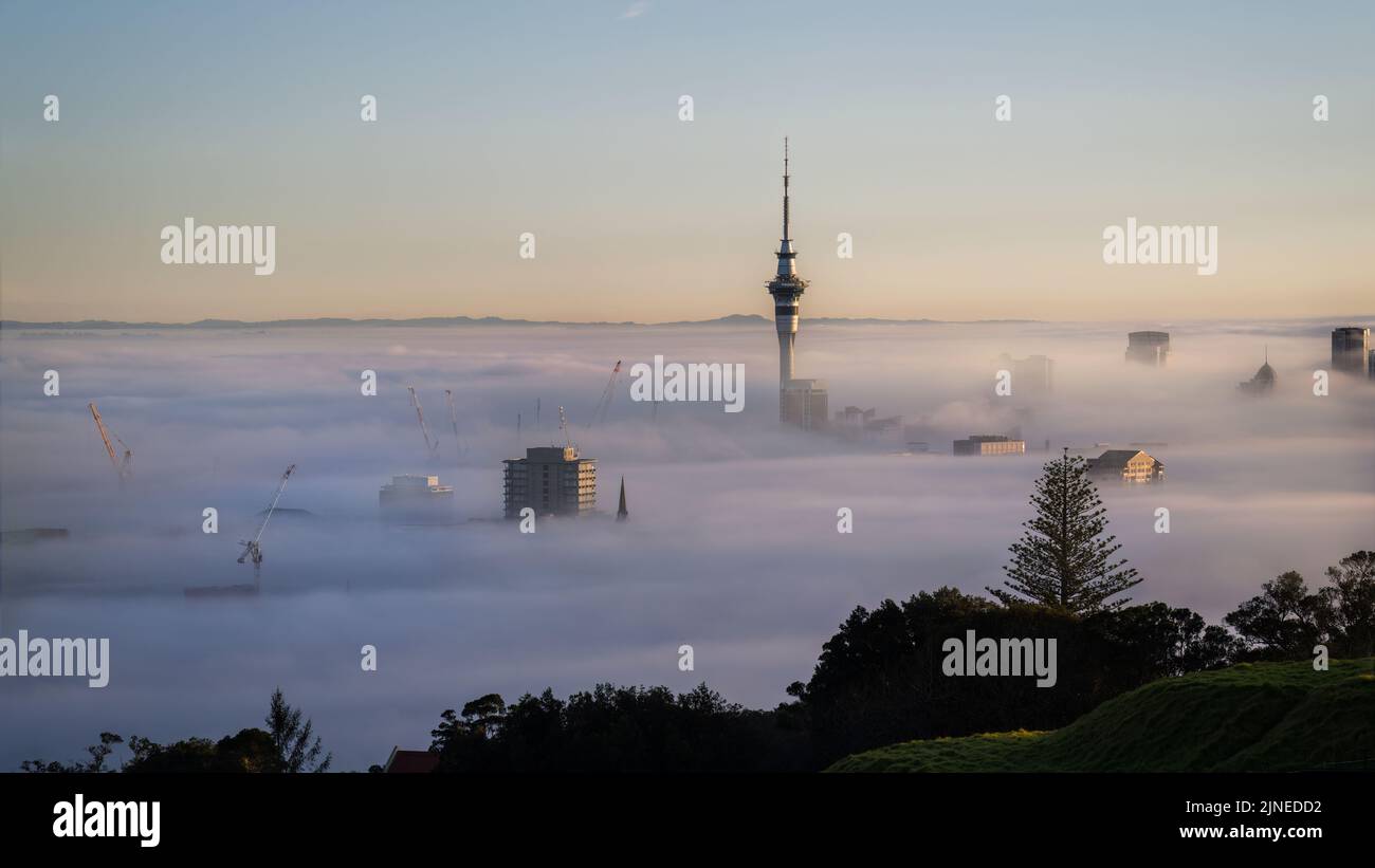 Sky Tower und Auckland City in einem Nebelmeer bei Sonnenaufgang, vom Mount Eden Summit. Stockfoto