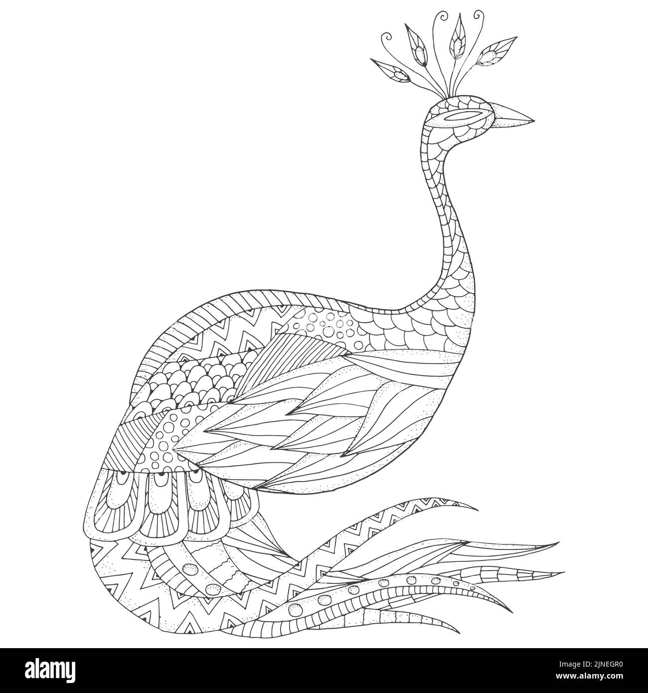 Eine monochrome Skizze des Pfaus im zentangle-Stil Stock Vektor