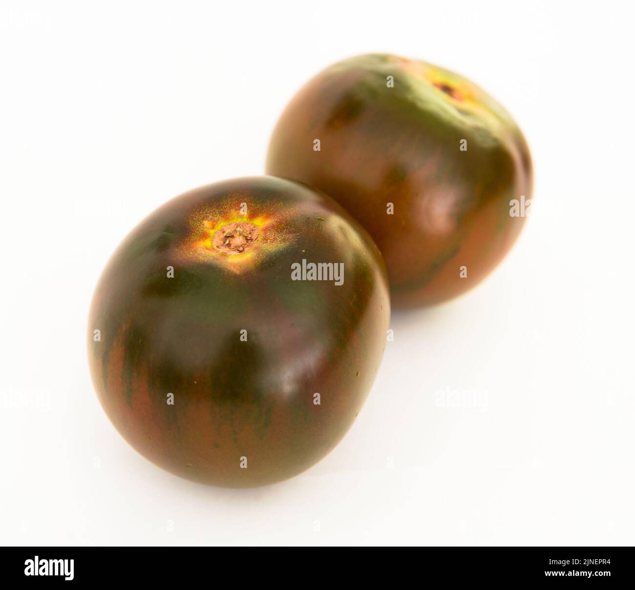 Reife schwarze Tomaten auf weißem Hintergrund Stockfoto